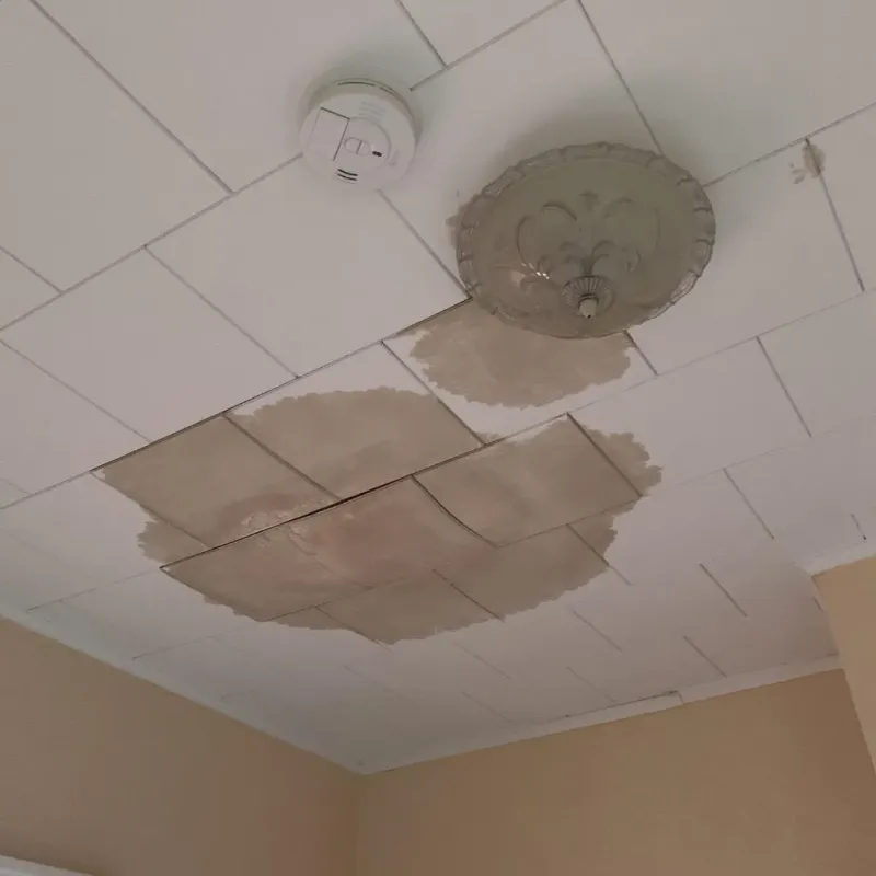 Ceiling Water Damage Repair in Montville Center, CT