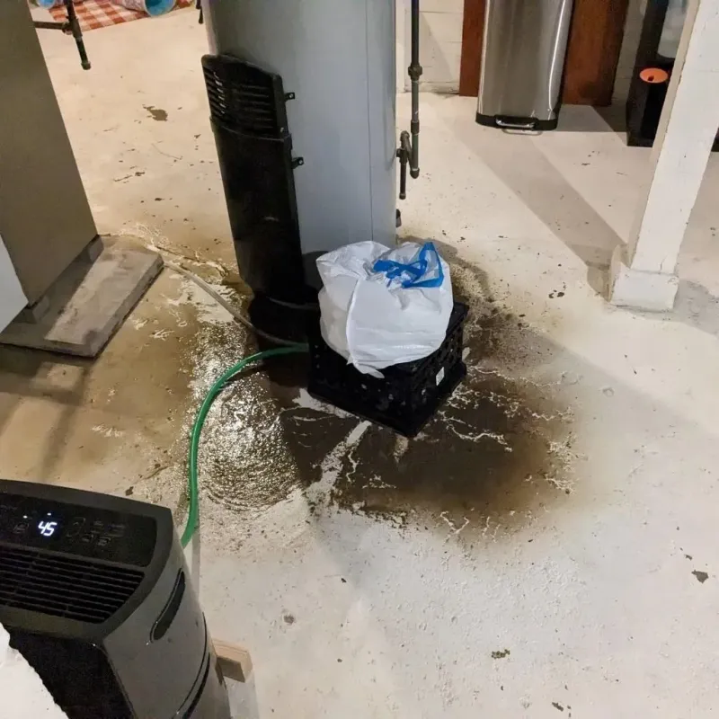 Sewage Backup Cleanup Service in Montville Center, CT